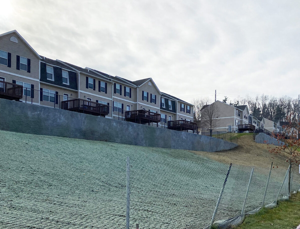 Copper Beech Area 4